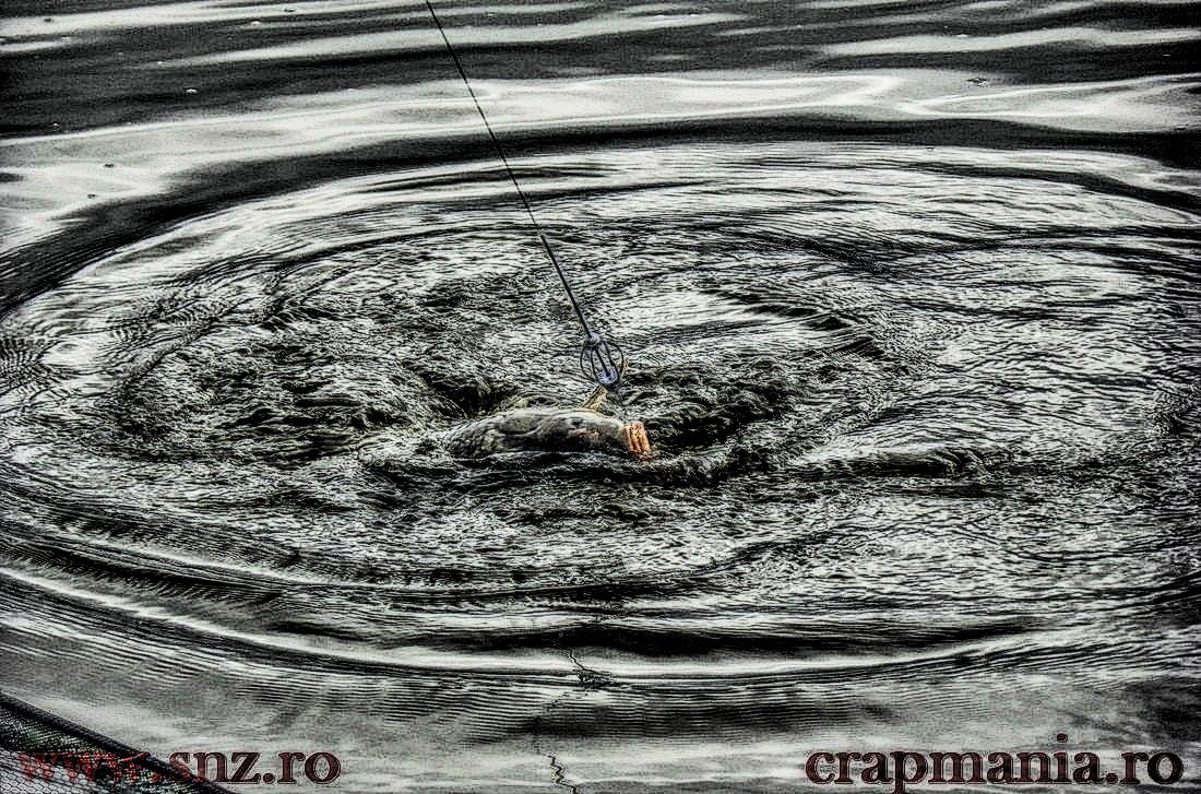 Cupa Iernii 2013 (2) - 1032279hdrmode2-2.jpg